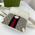 Gucci Ophidia Belt Bag 674081
