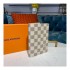 Louis Vuitton Damier Azur Passport Cover N60032