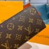 Louis Vuitton Monogram Clemence Wallet M60742 M61298