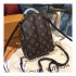 Louis Vuitton Monogram Canvas Palm Springs Backpack Mini M44367