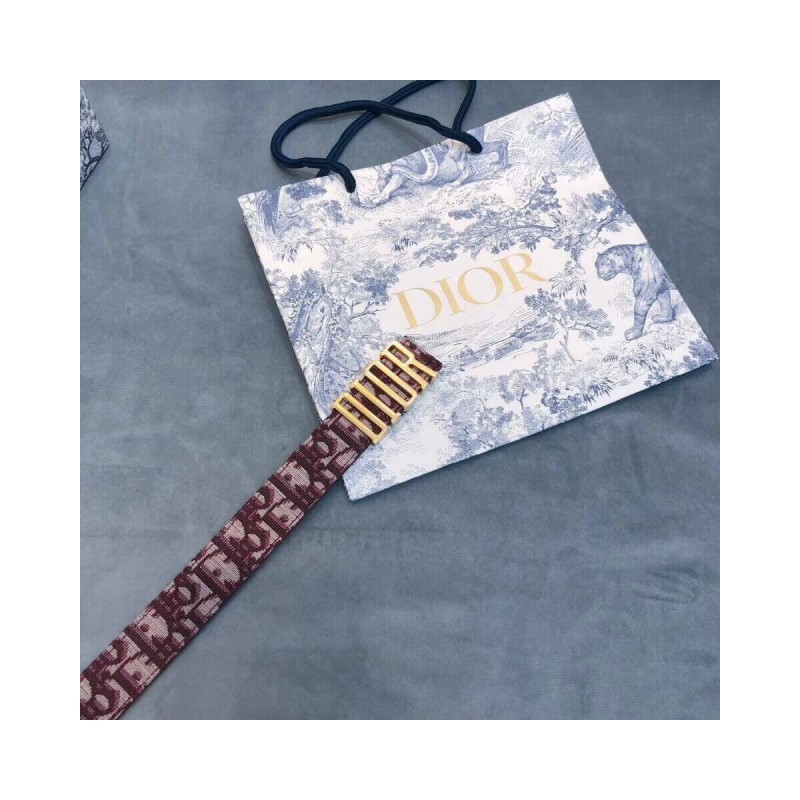 Christian Dior Saddle D-Fence 30mm Belt 441463