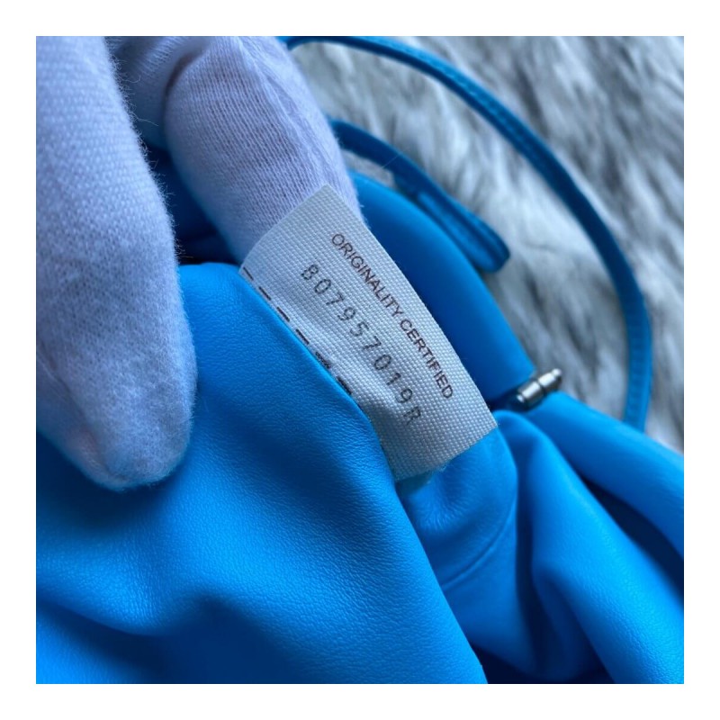 Bottega Veneta The Pouch 20 in Butter Calf Leather 570927