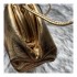 Bottega Veneta The Pouch 20  In Gold Metallic Leather 570927