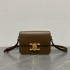 Celine Classique Triomphe Bag in Natural Calfskin Grown-187363