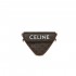 Celine Triangle Bag In Triomphe Canvas With Celine Print 195902