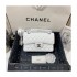 Chanel Small Classic Double Flap Bag A01113 Caviar Calfskin