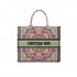 Dior Book Tote Multicolor In Lights Embroidery M1286