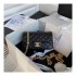 Chanel Resin Flap Bag AS2380