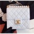 Chanel Small Pearl Chain Flap Bag AS0584