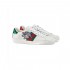 Gucci Ace Sneaker with Three Little Pigs 553385