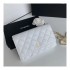 Chanel Classic Lambskin Wallet On Chain WOC AP0250
