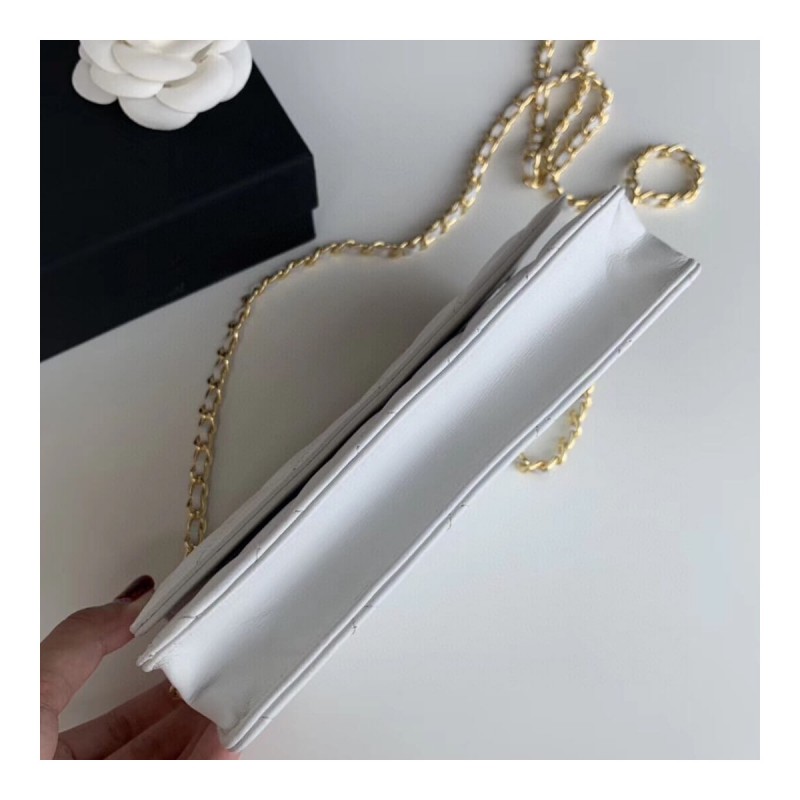 Chanel Classic Lambskin Wallet On Chain WOC AP0250
