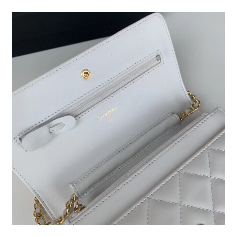 Chanel Classic Lambskin Wallet On Chain WOC AP0250