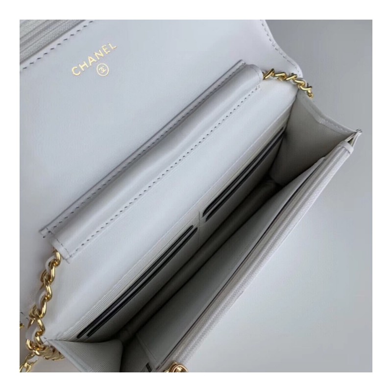 Chanel Classic Lambskin Wallet On Chain WOC AP0250