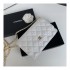 Chanel Classic Lambskin Wallet On Chain WOC AP0250