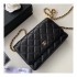 Chanel Classic Lambskin Wallet On Chain WOC AP0250