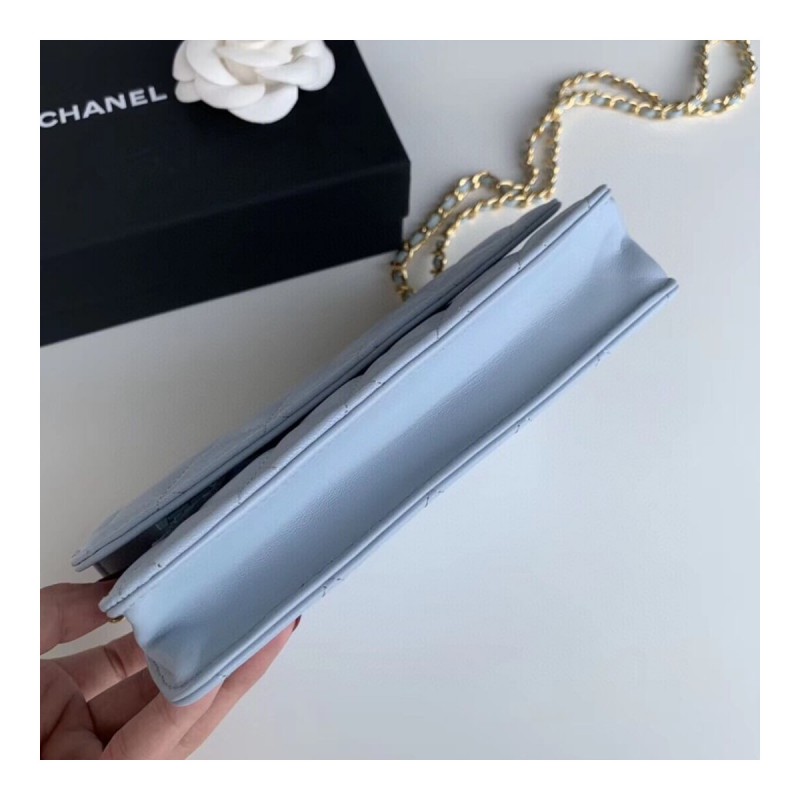 Chanel Classic Lambskin Wallet On Chain WOC AP0250