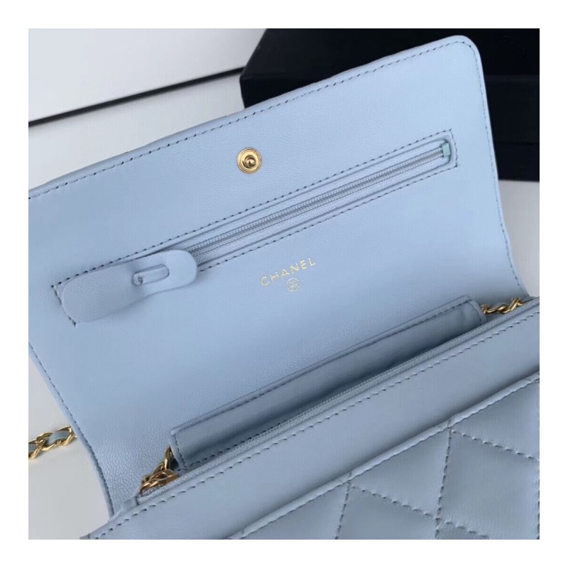Chanel Classic Lambskin Wallet On Chain WOC AP0250