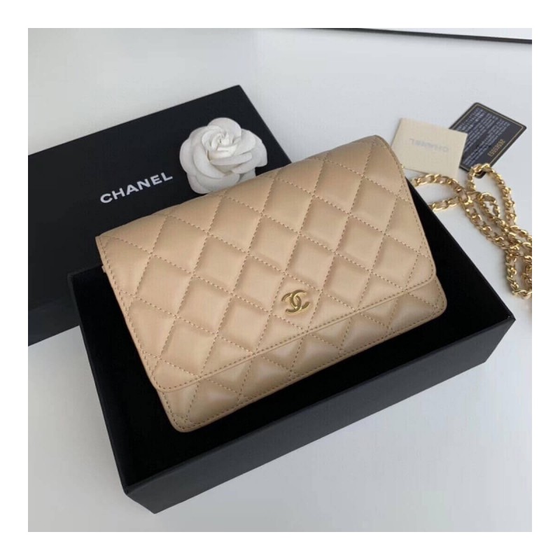 Chanel Classic Lambskin Wallet On Chain WOC AP0250