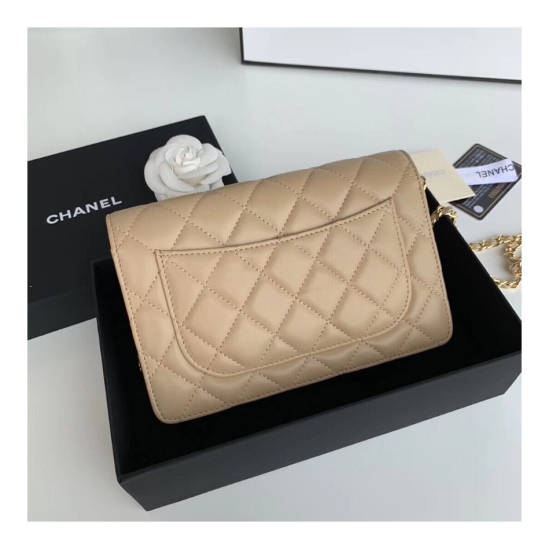 Chanel Classic Lambskin Wallet On Chain WOC AP0250