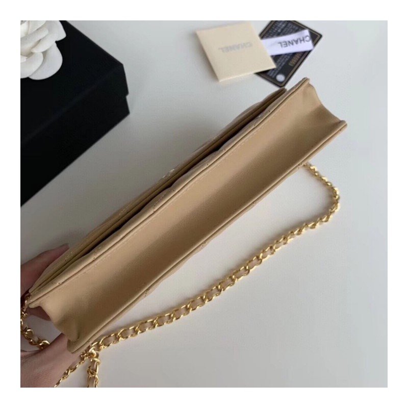 Chanel Classic Lambskin Wallet On Chain WOC AP0250