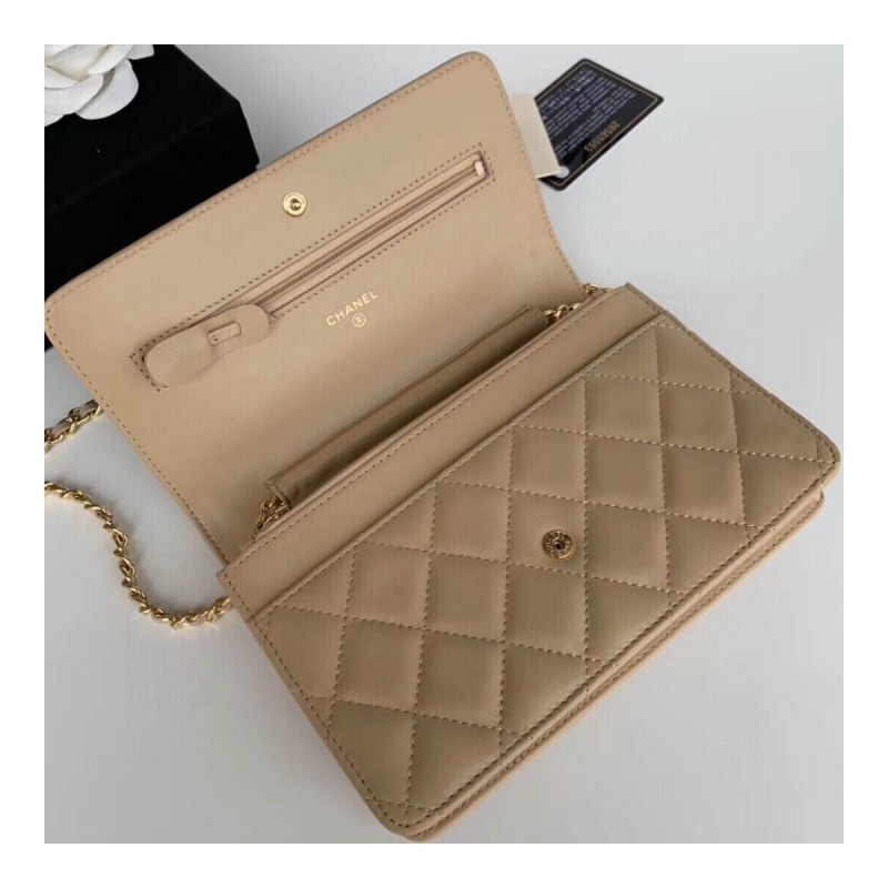 Chanel Classic Lambskin Wallet On Chain WOC AP0250