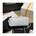 Chanel Grained Calfskin Camera Bag AS2856