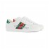 Gucci Ace Sneaker with Gucci Band 603693