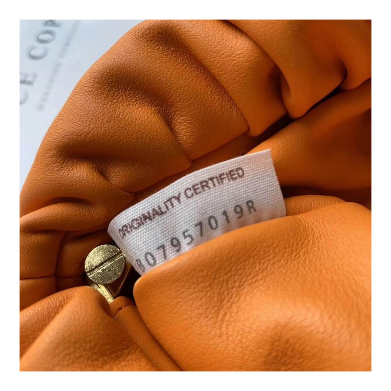 Bottega Veneta The Chain Pouch 620230