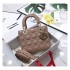 Christian Dior Lambskin My ABC Bag M0538