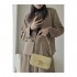 Celine Triomphe Shoulder Bag In Natural Calfskin 194143