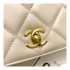 Chanel Calf Leather Single Flap Bag AS8869