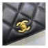 Chanel Calf Leather Single Flap Bag AS8869