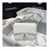 Chanel Flap Bag AS1430