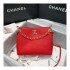 Chanel Grained Calfskin Small Hobo Bag AS1461