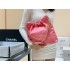 Chanel 22 Small Handbag AS3260Pink