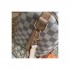 Louis Vuitton Damier Azur Canvas Speedy Bandouliere 25 N41374