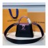 Louis Vuitton Taurillon Leather and Ayers Snakeskin Capucines Mini M55914