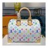 Louis Vuitton Multi-color Speedy 30 M92643 M92642