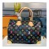 Louis Vuitton Multi-color Speedy 30 M92643 M92642