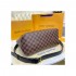 Louis Vuitton Maida Hobo N40366 N40369