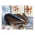 Louis Vuitton Monogram Canvas Cluny MM M42735