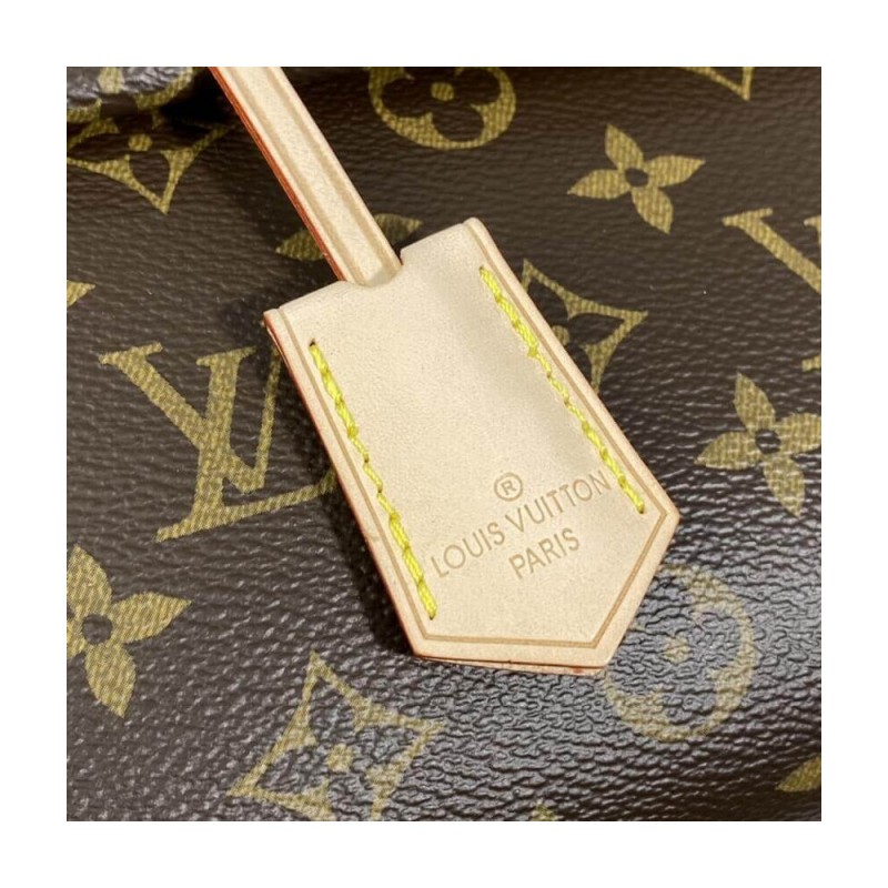 Louis Vuitton Monogram Canvas Cluny BB M42738