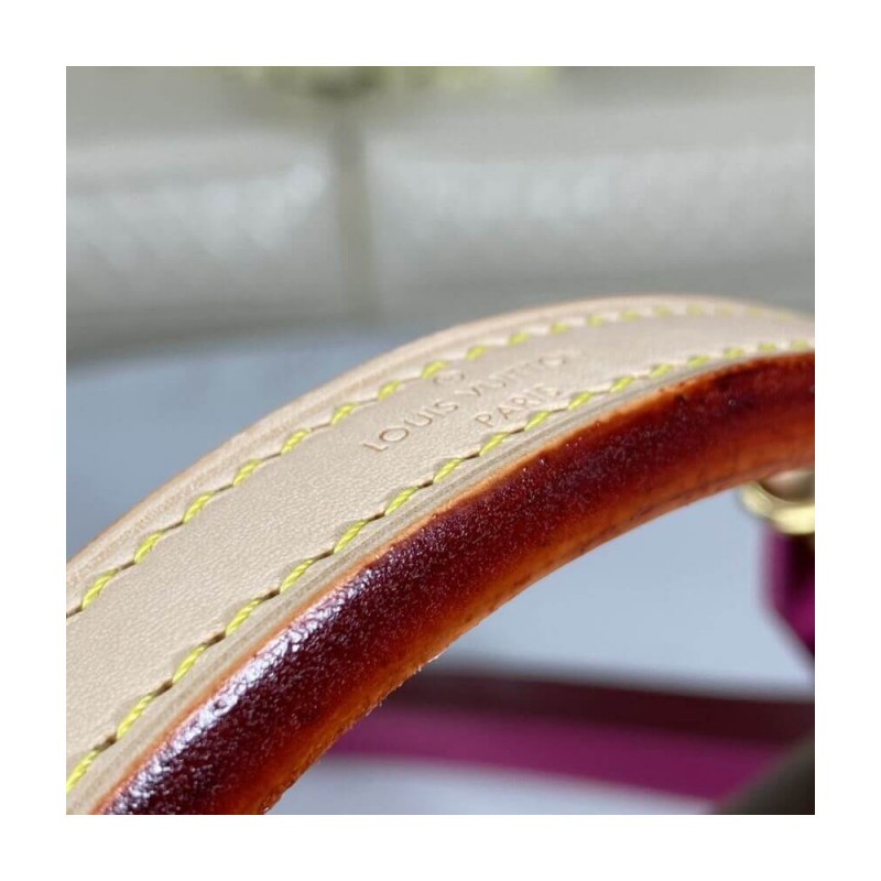 Louis Vuitton Monogram Canvas Cluny BB M42738