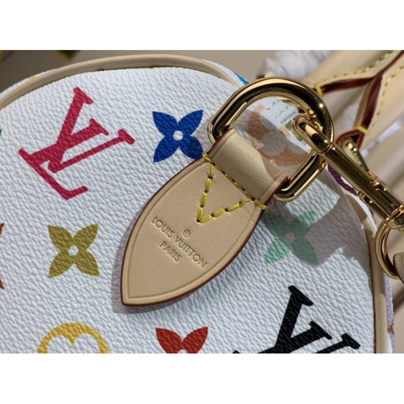 Louis Vuitton Other Monogram  Canvas LV x TM Speedy Bandoulière 25 Handbag M13085