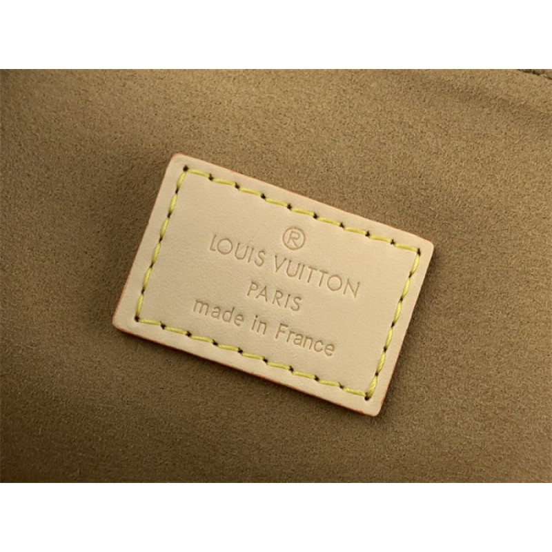 Louis Vuitton Monogram Dauphine Soft GM Handbag M47149