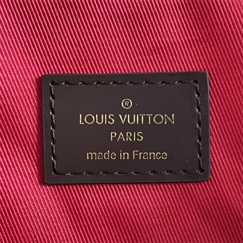 Louis Vuitton Graceful PM Hobo Damier Ebene Handbag N44044