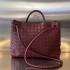 Bottega Veneta Women’s Medium Andiamo Handbag 766016Barolo