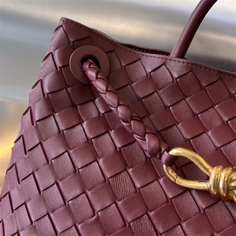Bottega Veneta Women’s Medium Andiamo Handbag 766016Barolo