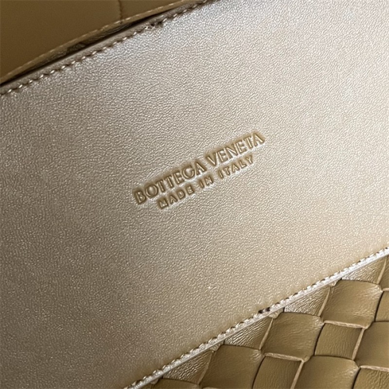 Bottega Veneta Women’s Medium Andiamo Handbag 766016Acorn